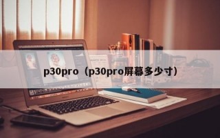 p30pro（p30pro屏幕多少寸）